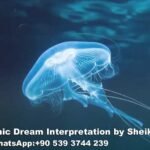 Dreaming of Jellyfish in Islam