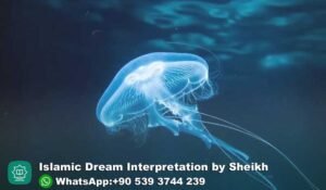 Dreaming of Jellyfish in Islam