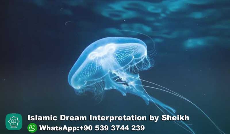 Dreaming of Jellyfish in Islam