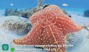 Dreaming of Starfish in Islam