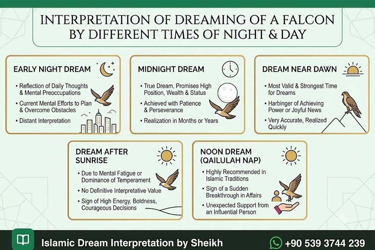 Dreaming of Falcon in Islam