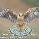 Dreaming of Falcon in Islam
