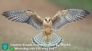 Dreaming of Falcon in Islam