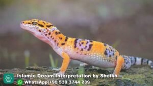 Dreaming of Gecko in Islam
