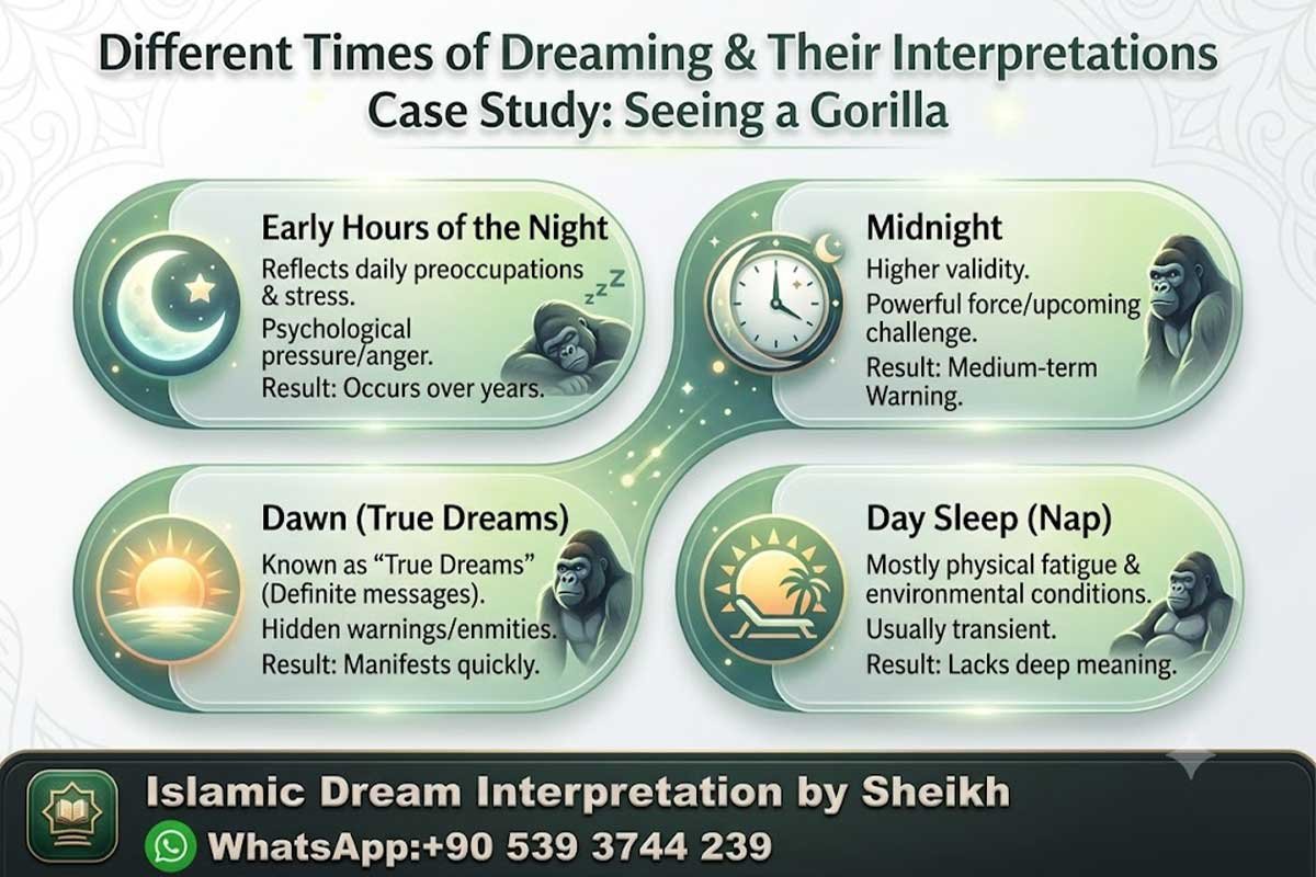 Dreaming of Gorilla in Islam
