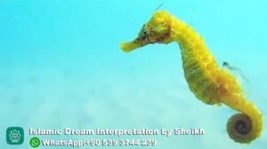 Dreaming of Seahorse in Islam