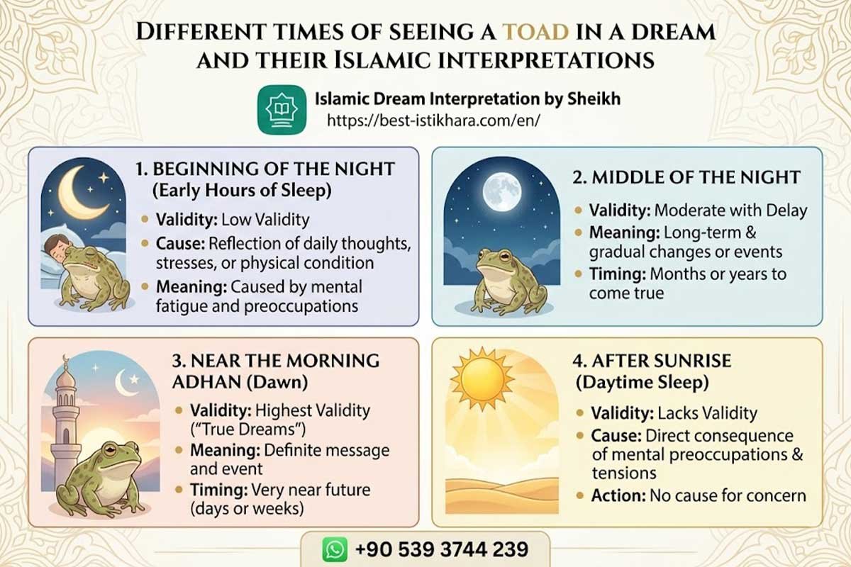 Dreaming of Toad in Islam