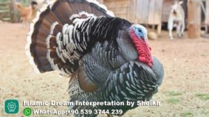 Dreaming of Turkey in Islam