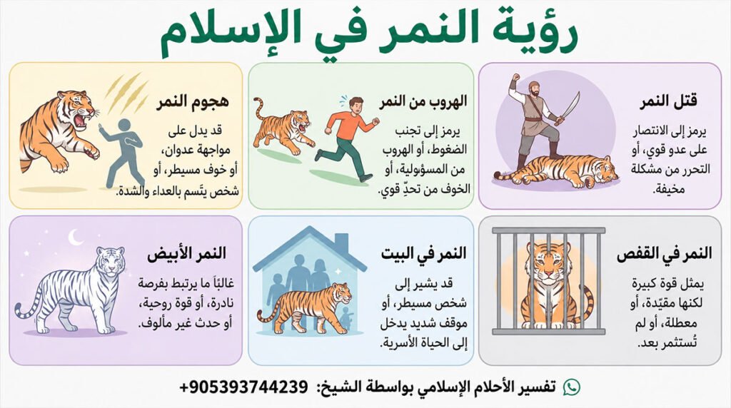 تفسير رؤية النمر في الإسلام