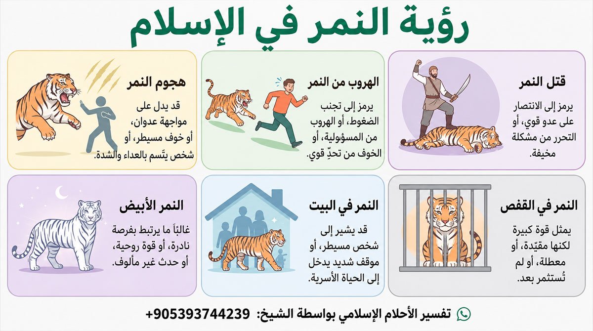 تفسير رؤية النمر في الإسلام